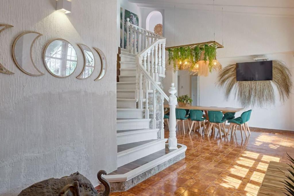 Palmera Solara Villa San José